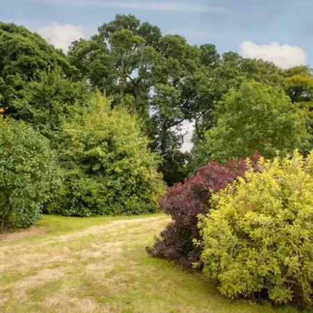 Kottage, Killenard, Laois Killenard