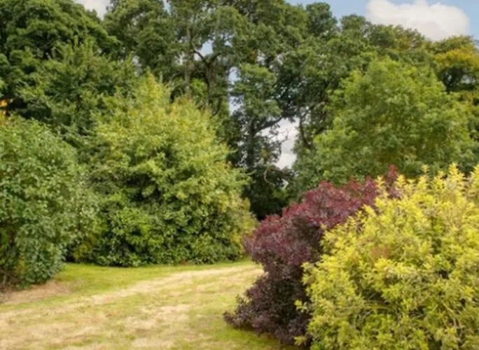 Kottage, Killenard, Laois Killenard